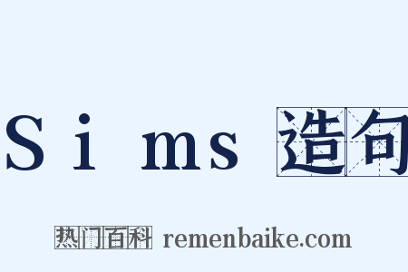 Sims造句是什么意思的图片